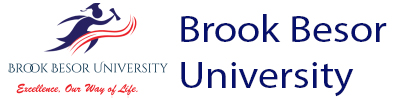 brook_university_logo 2