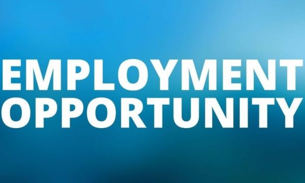 job opportunities